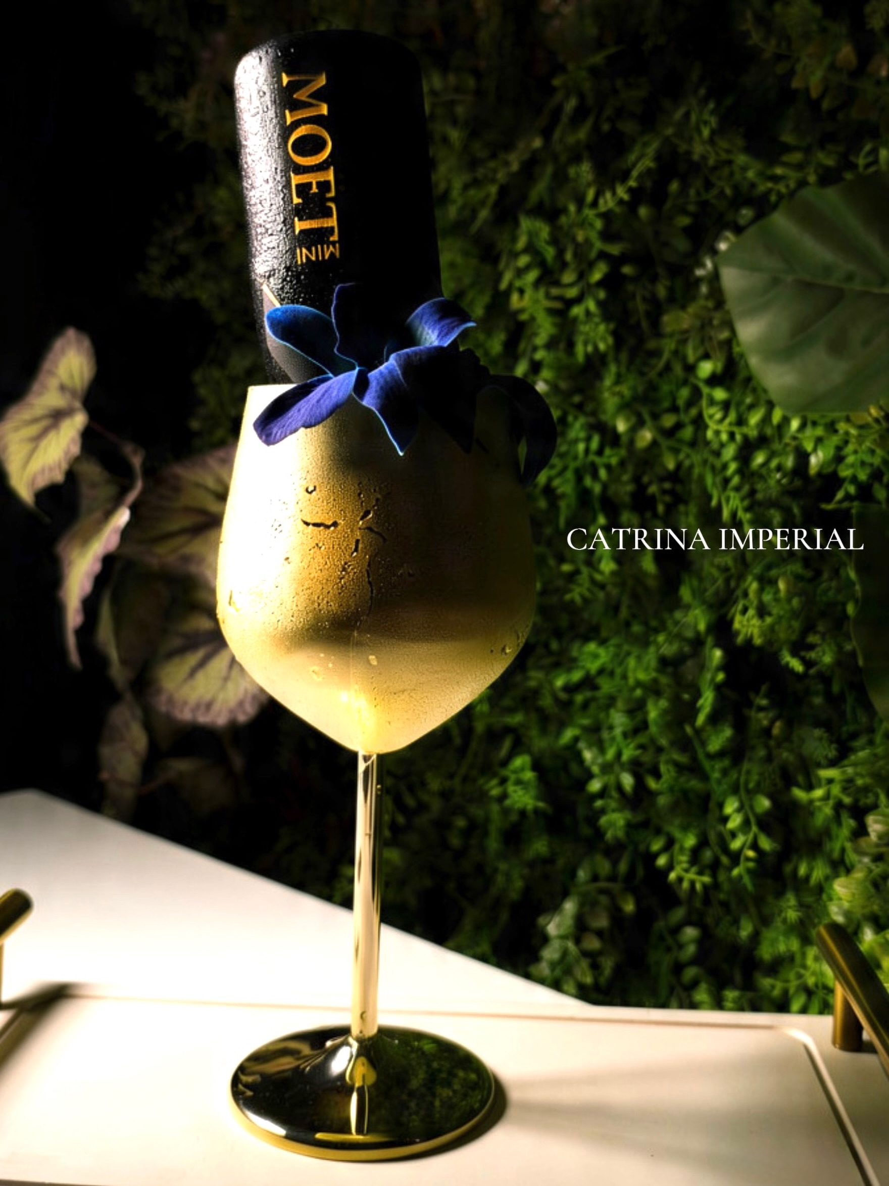 Catrina Imperial — champagne cocktail with orchid, green wall behind