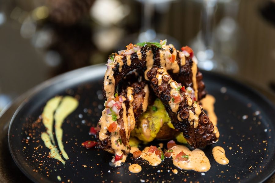 Pulpo a la brasa — charred octopus over creamy base