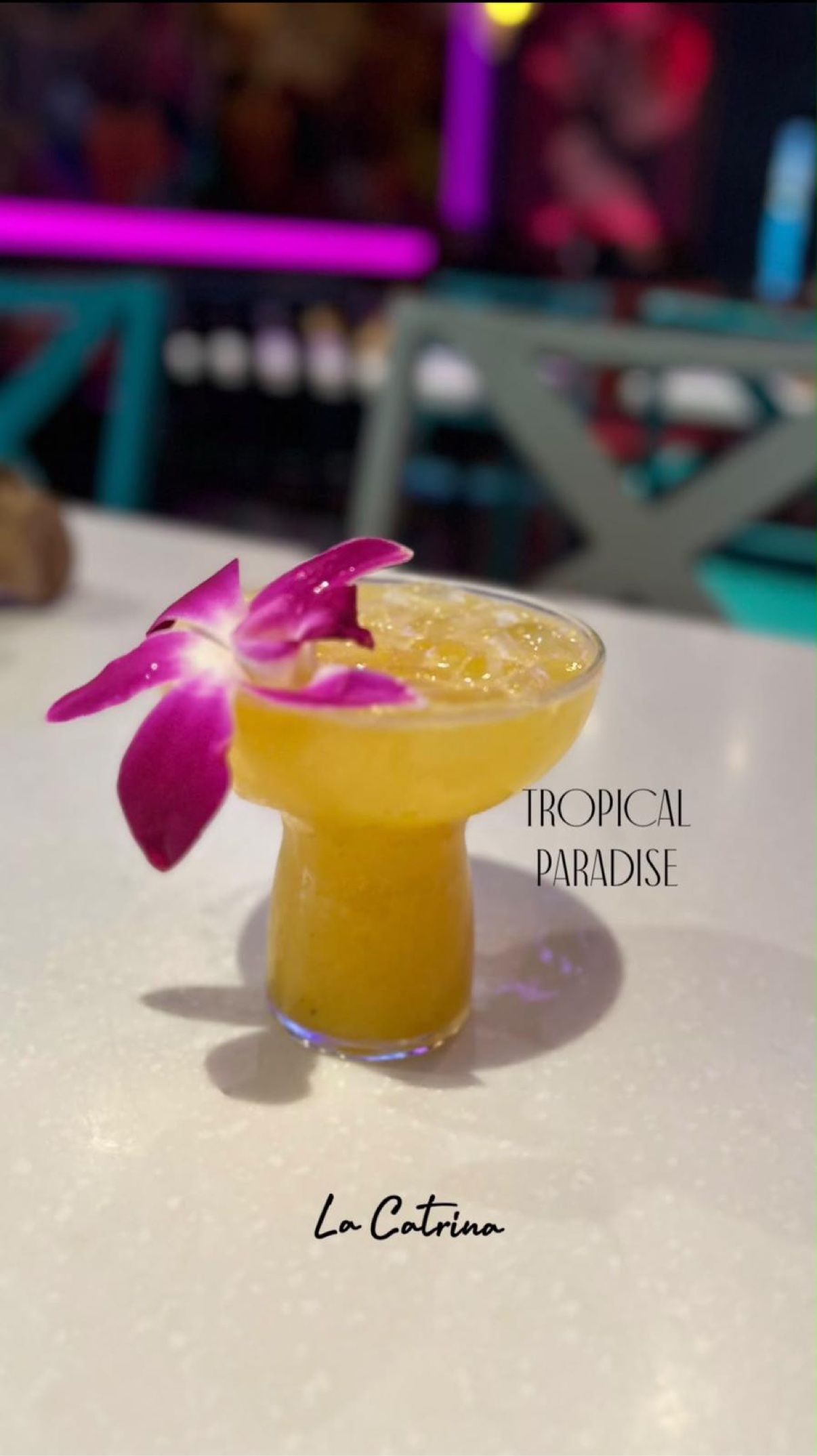Tropical Paradise — golden frozen cocktail with an orchid